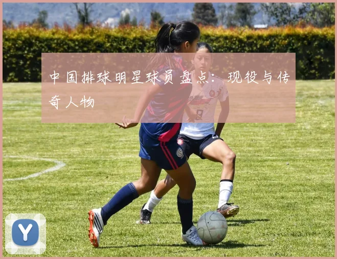 中国排球明星球员盘点：现役与传奇人物